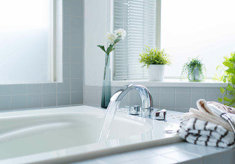 240_F_231345272_bMCrntmZCORZbWri17sXDi6Qqs2E5HRW