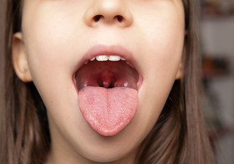 240_F_322051351_GJ6N6ZYyjmP0IlnaD4JkdzthTGCNuaR1