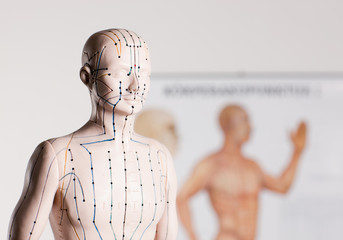 240_F_37443636_9HyAo3gEe8Cs0YWq5TajacN0qoFvOVxO